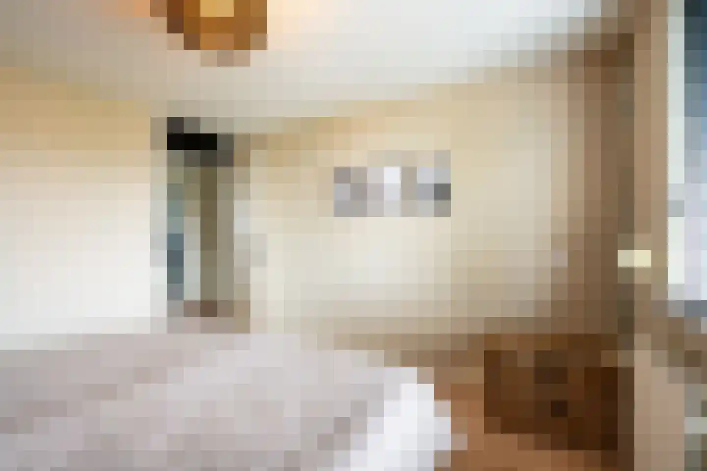 de Hazelaar 31 Hoogerheide thumbnail 19