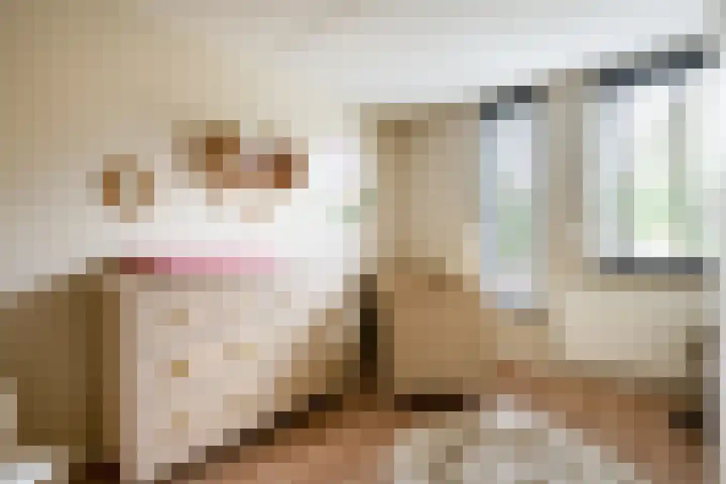 de Hazelaar 31 Hoogerheide thumbnail 20