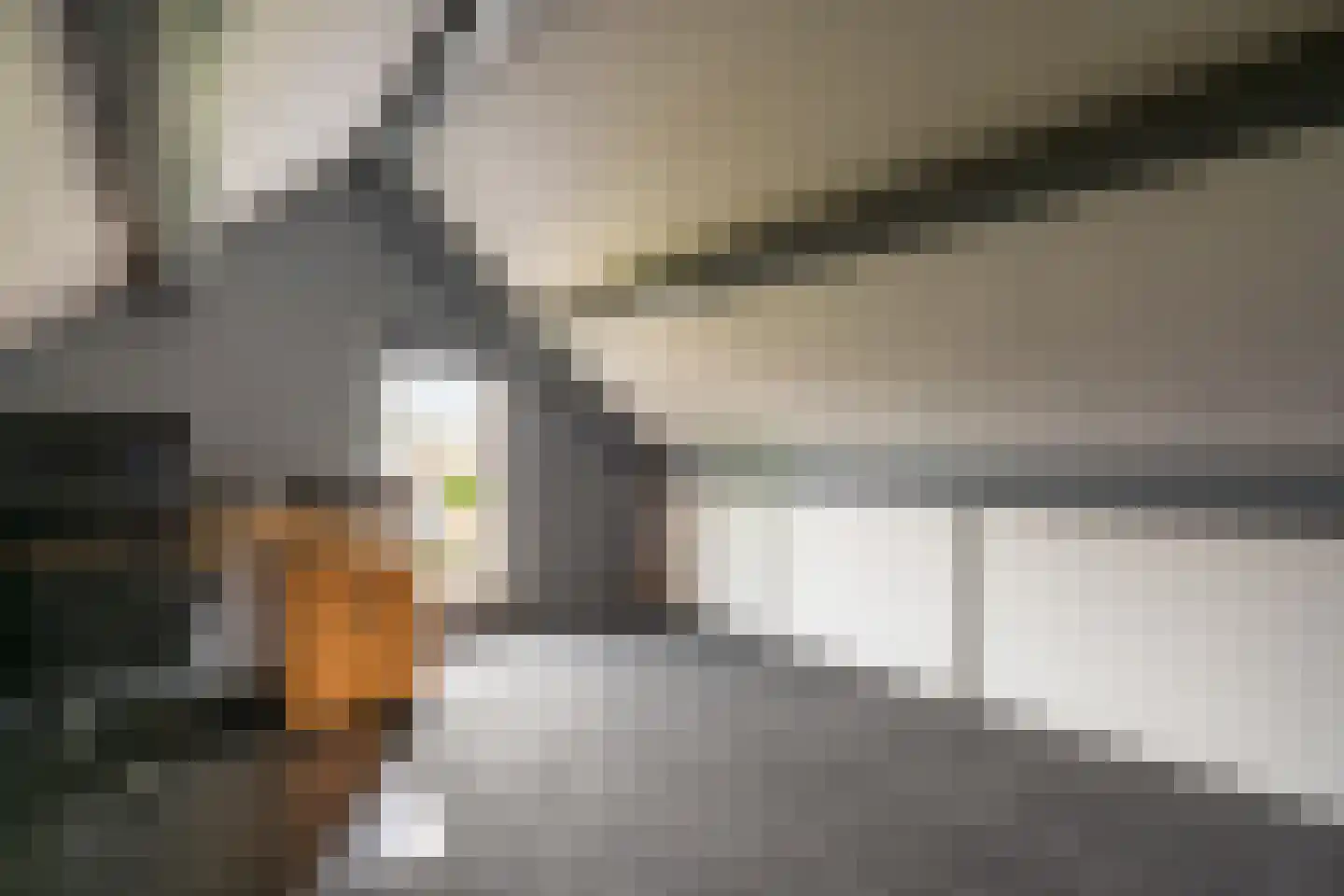 de Hazelaar 31 Hoogerheide thumbnail 28