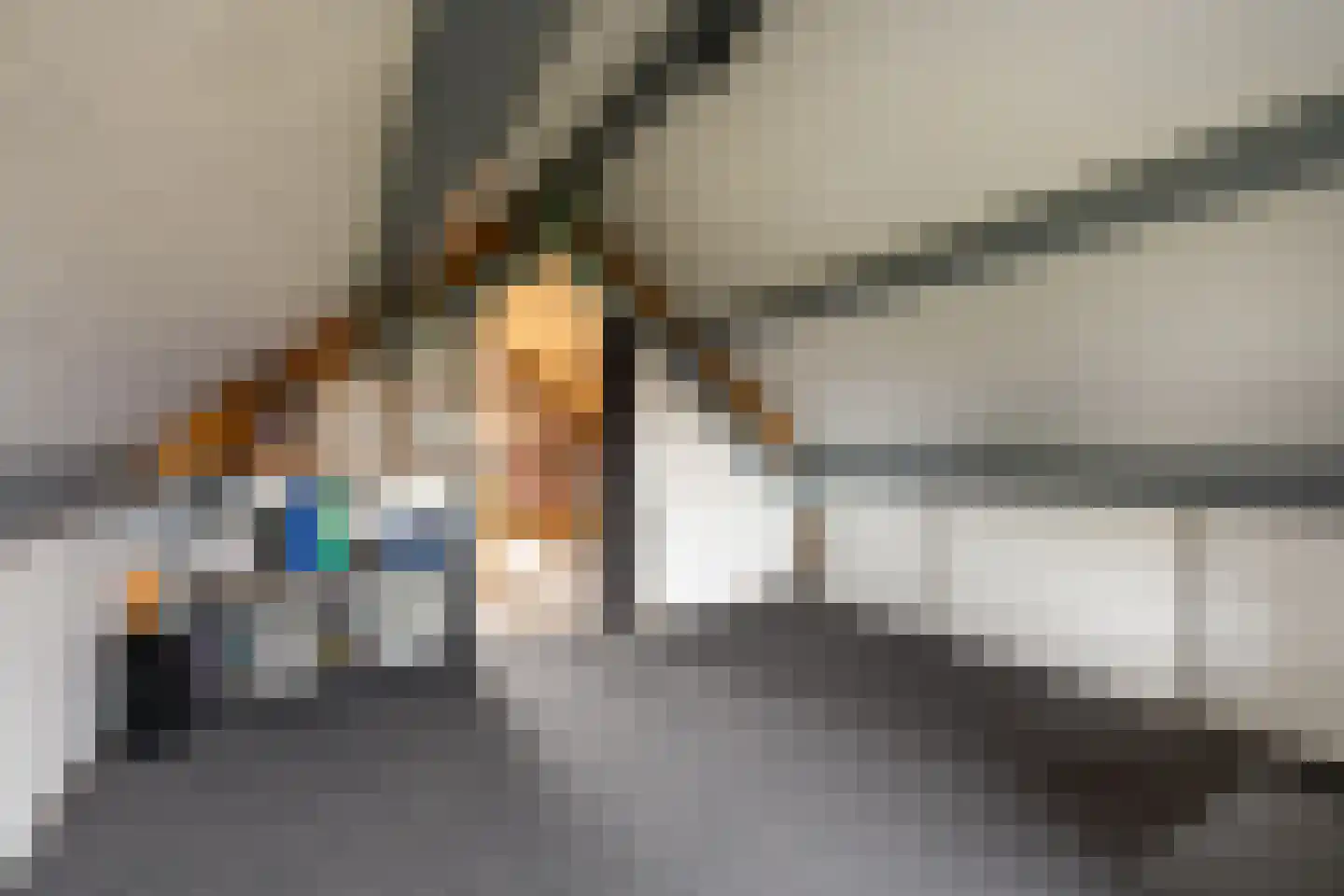 de Hazelaar 31 Hoogerheide thumbnail 29
