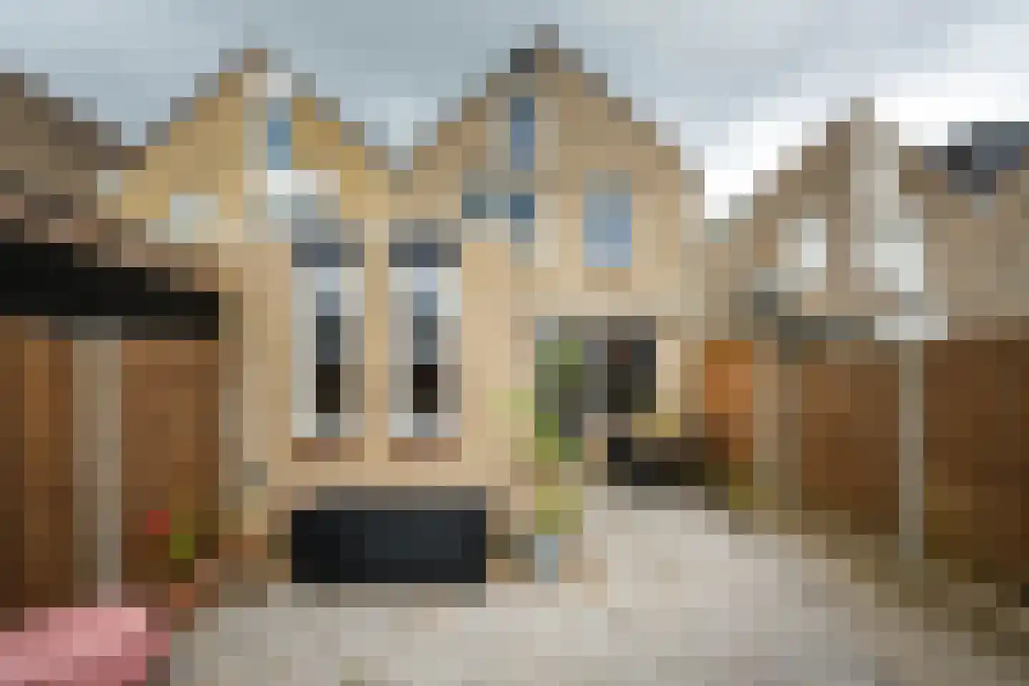 de Hazelaar 31 Hoogerheide thumbnail 32