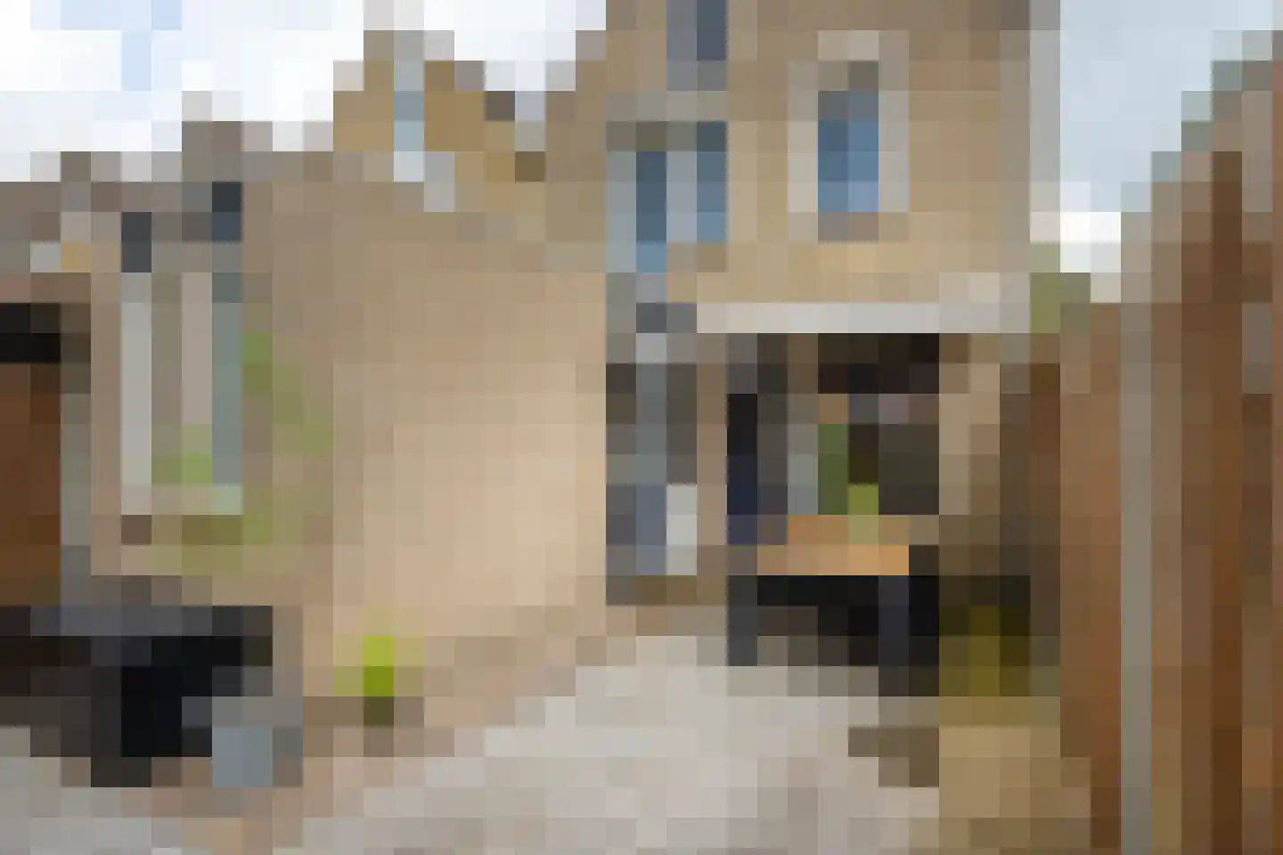 de Hazelaar 31 Hoogerheide thumbnail 33