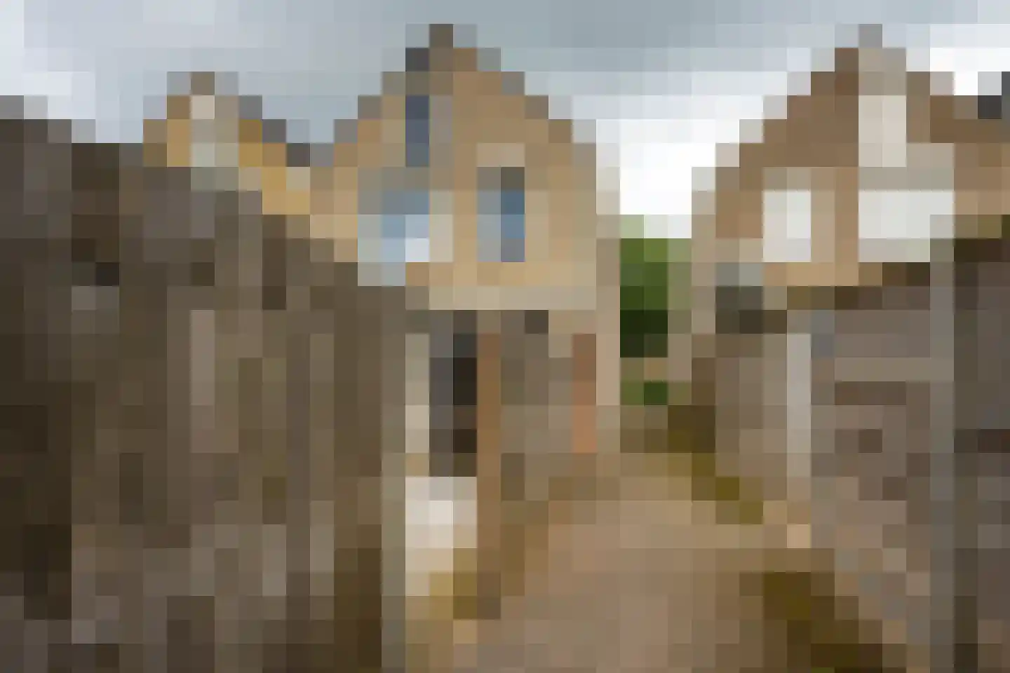 de Hazelaar 31 Hoogerheide thumbnail 38