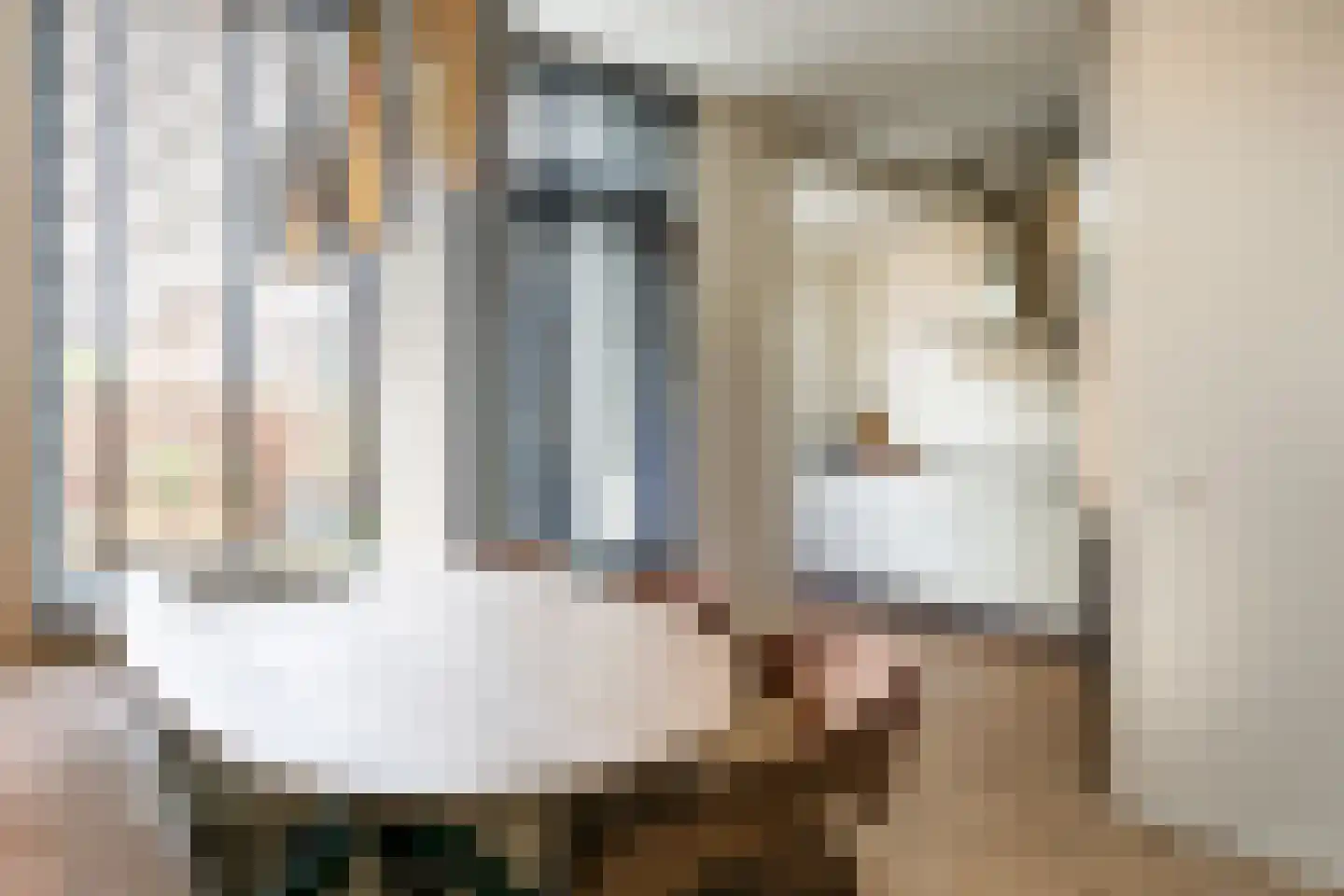 de Hazelaar 31 Hoogerheide thumbnail 9