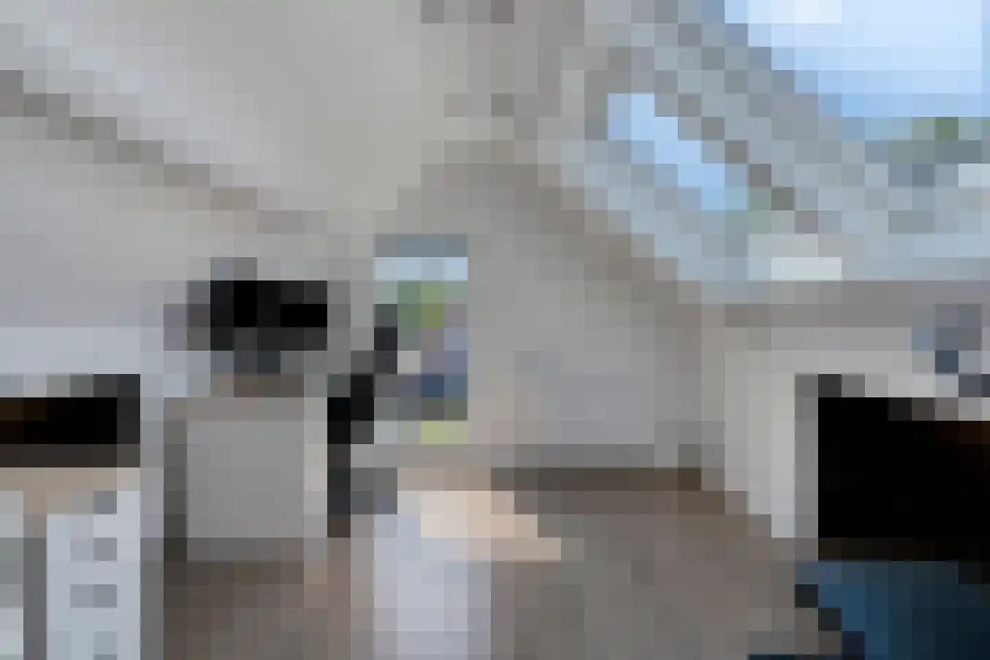 de Hazelaar 32 Hoogerheide thumbnail 32