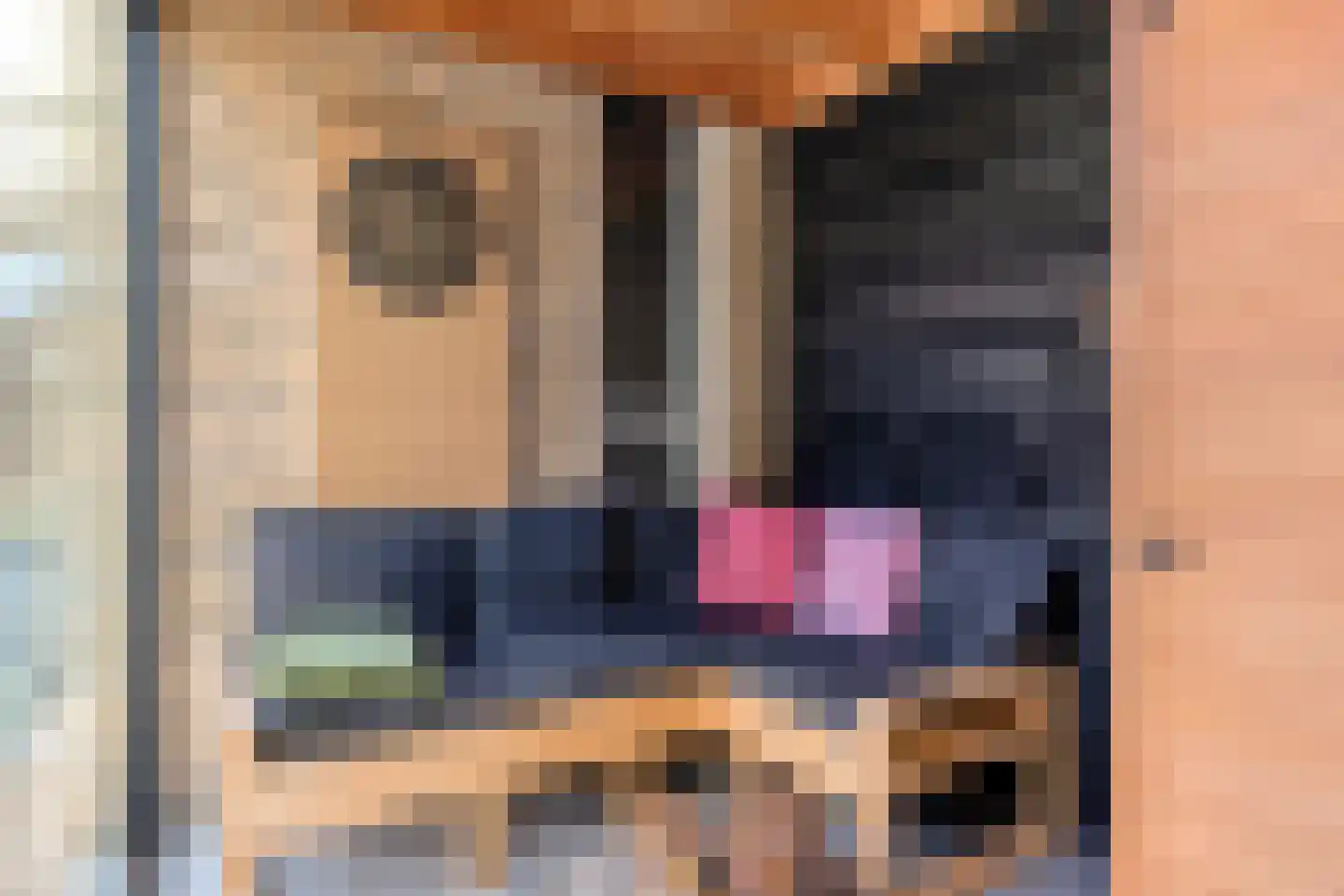 de Hazelaar 32 Hoogerheide thumbnail 36