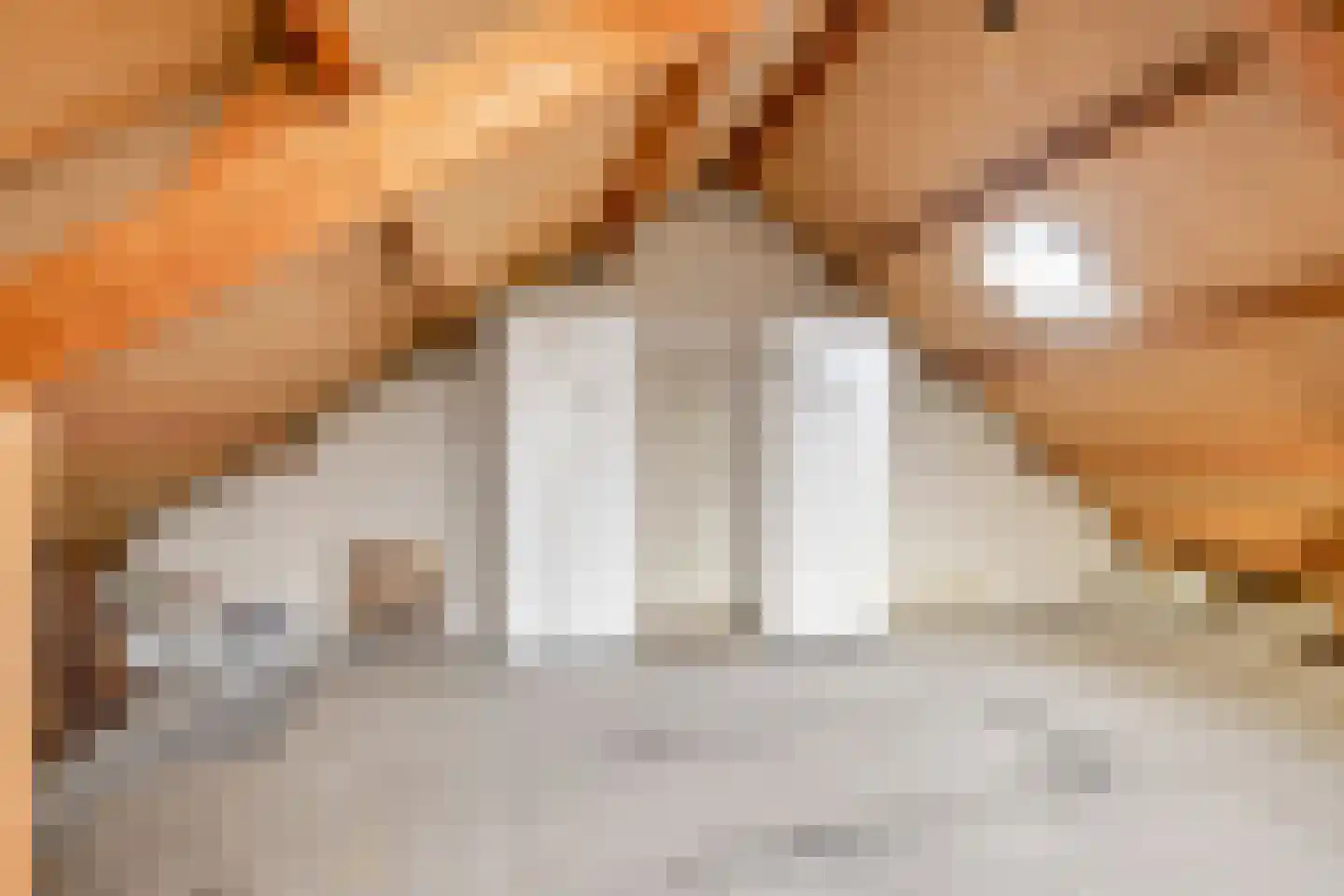 de Hazelaar 44 Didam thumbnail 23
