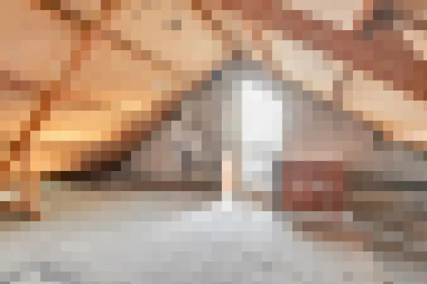 de Hazelaar 44 Didam thumbnail 24