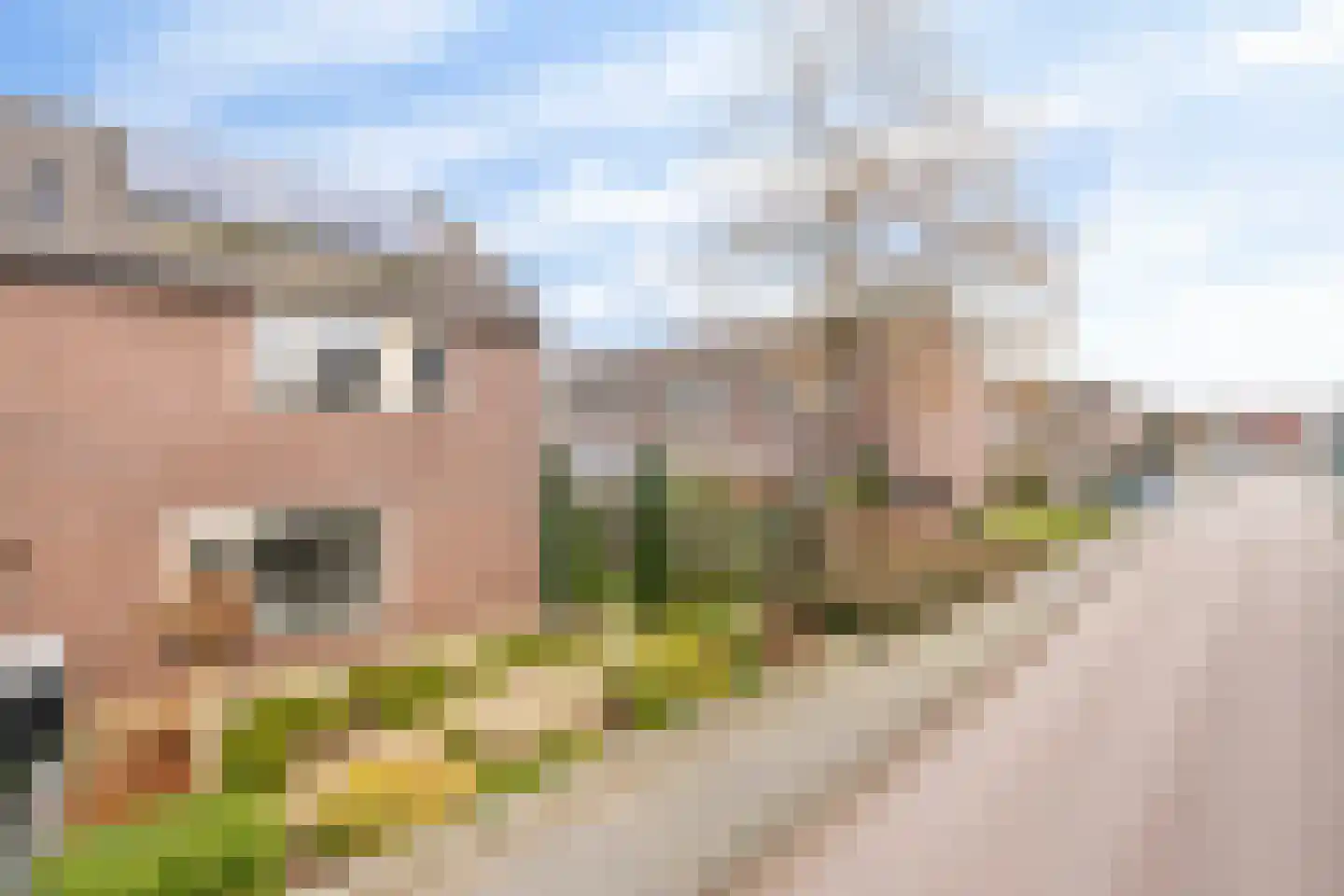 de Hazelaar 44 Didam thumbnail 25