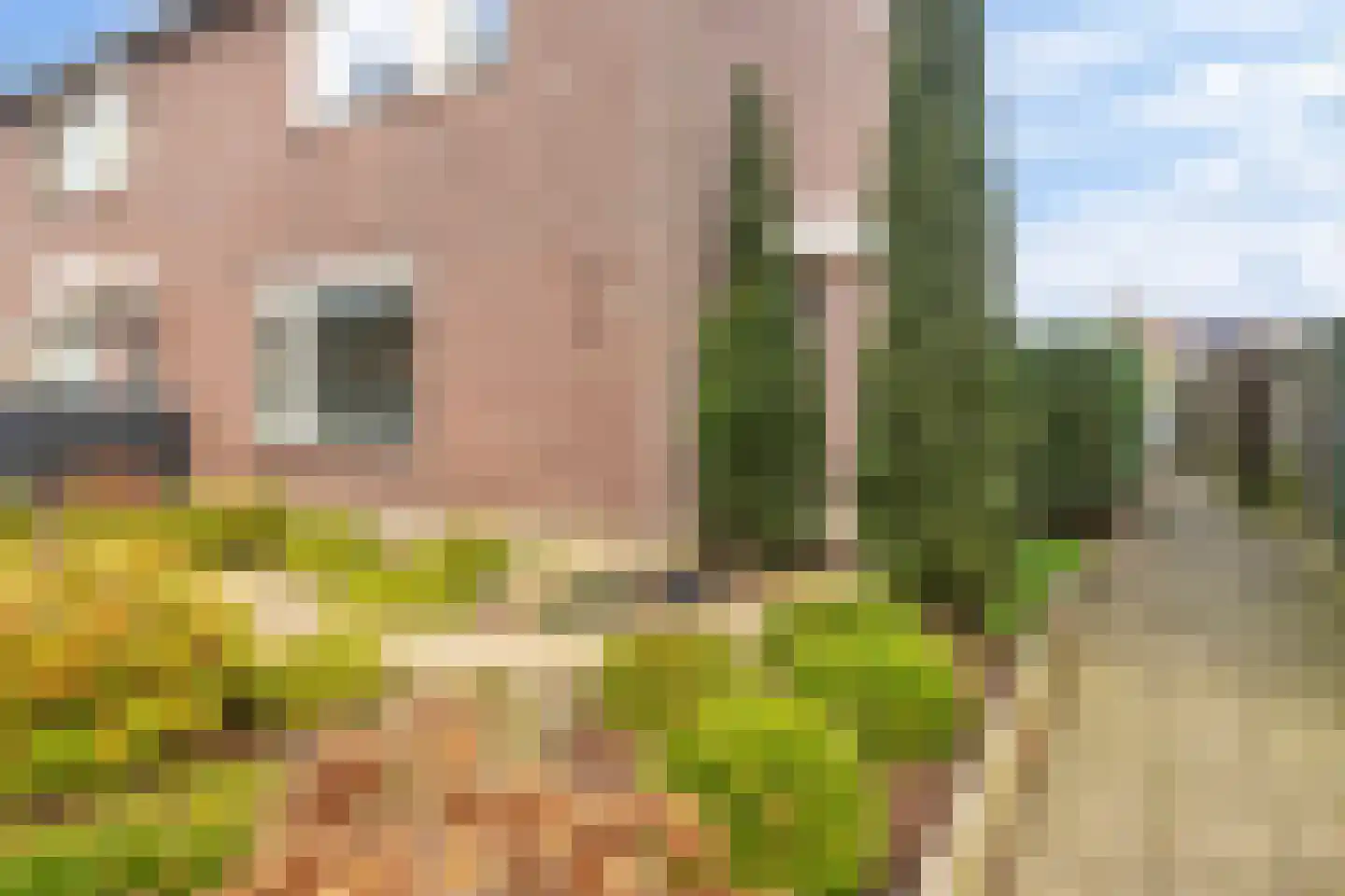 de Hazelaar 44 Didam foto 3
