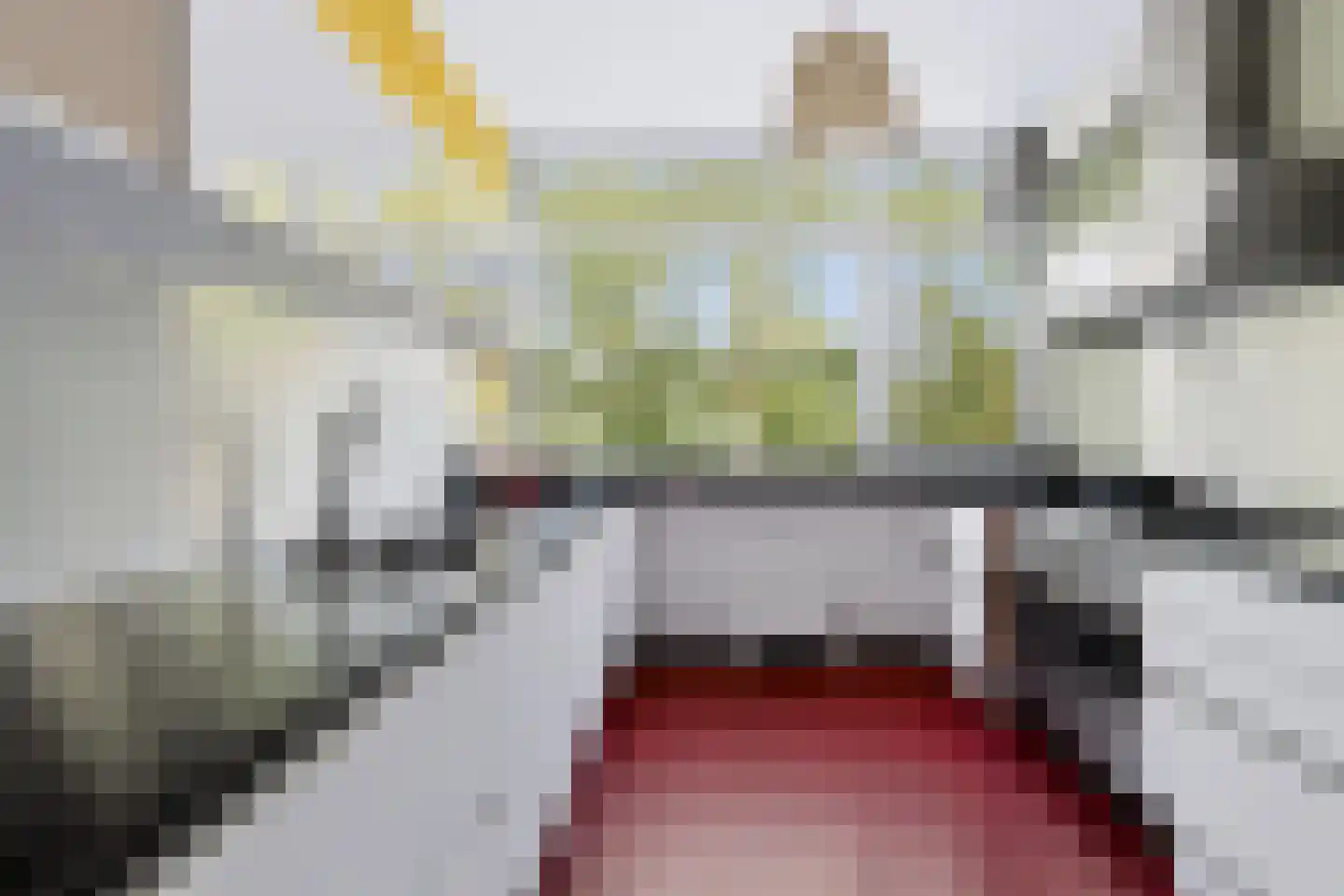 De Hazelaar 49 Zevenaar thumbnail 16