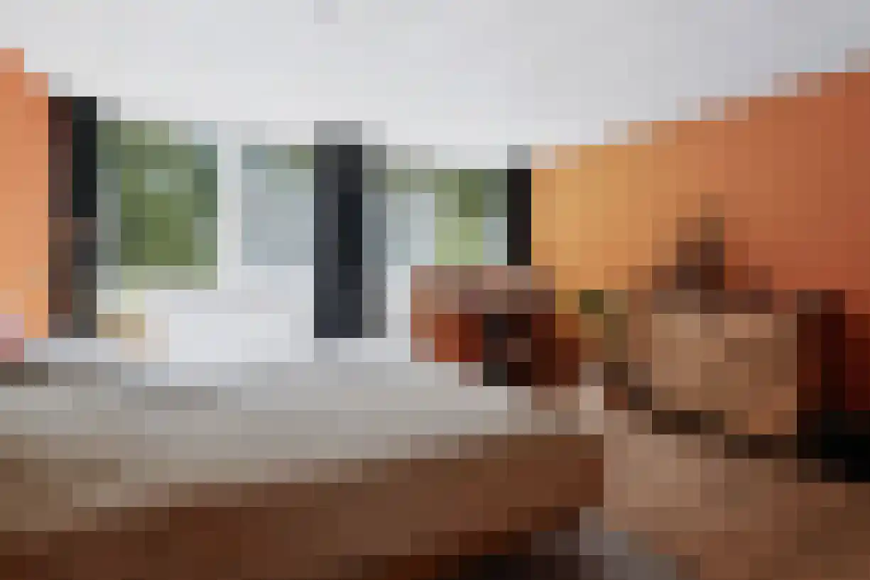 De Hazelaar 49 Zevenaar thumbnail 22