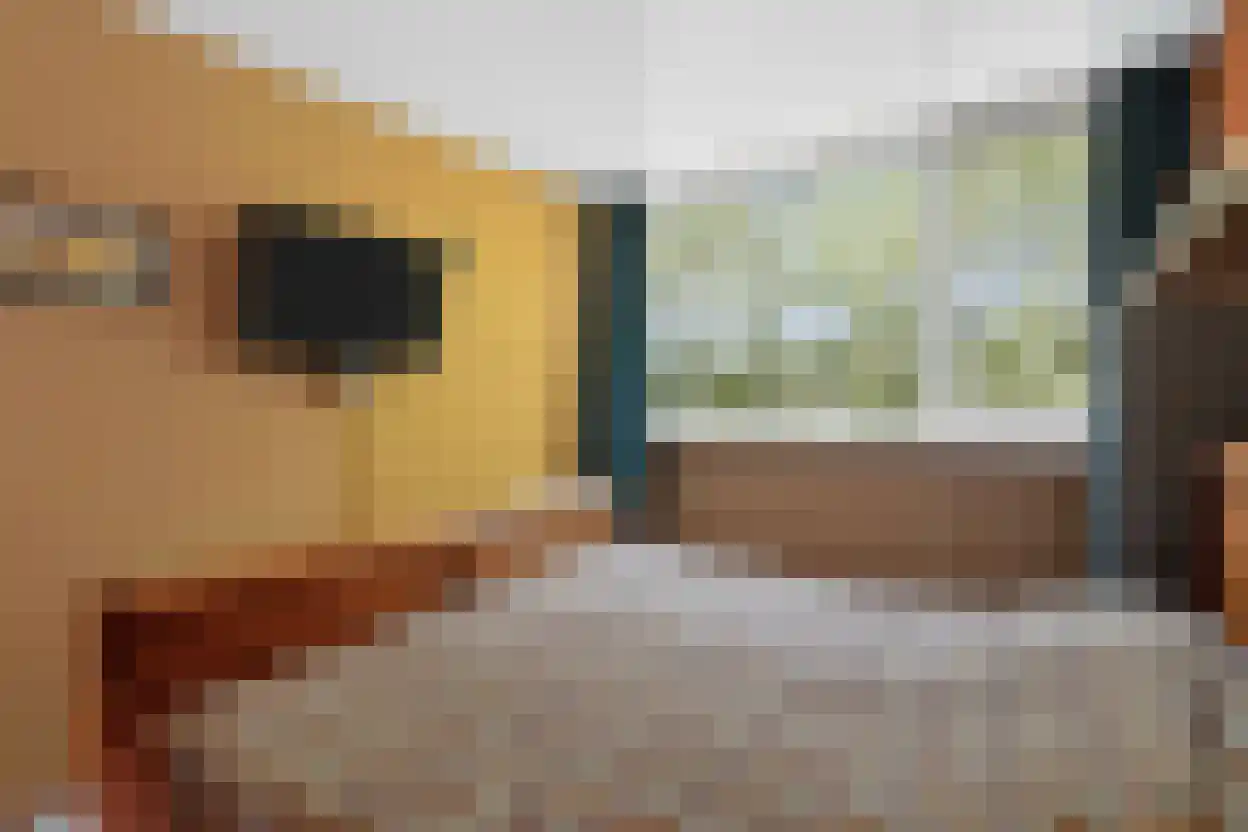De Hazelaar 49 Zevenaar thumbnail 28