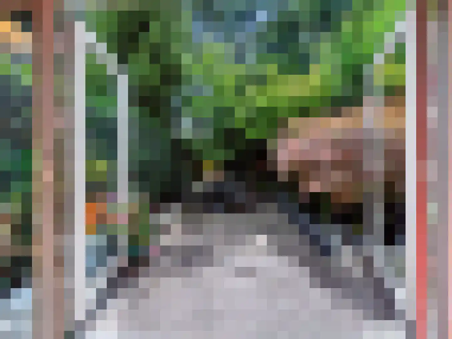 De Hazelaar 49 Zevenaar thumbnail 31