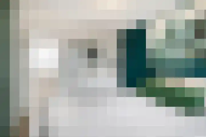 De Hazelaar 5 Zevenaar thumbnail 11