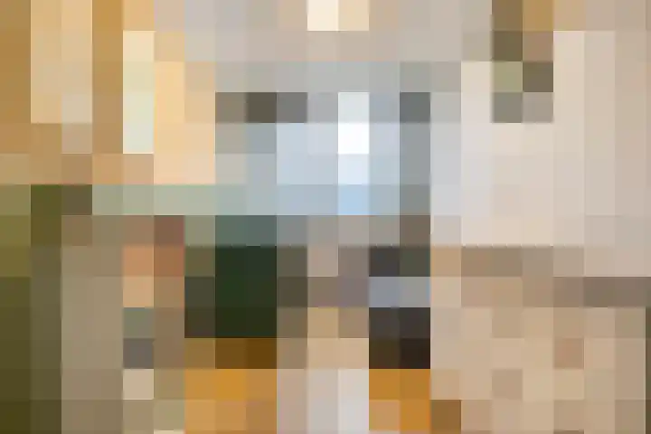 De Hazelaar 5 Zevenaar thumbnail 12