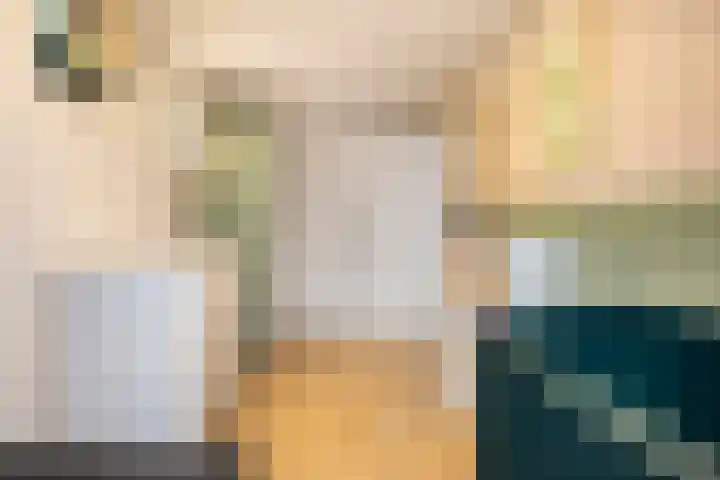 De Hazelaar 5 Zevenaar thumbnail 13