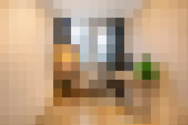 De Hazelaar 5 Zevenaar thumbnail 14