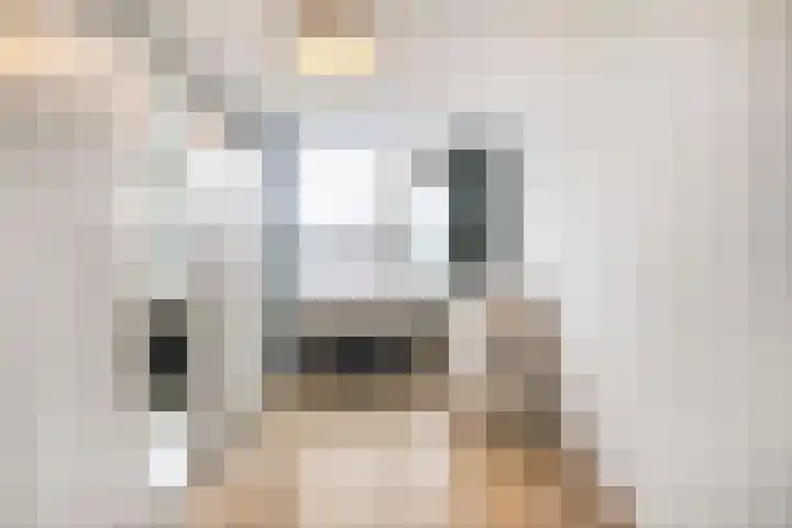 De Hazelaar 5 Zevenaar thumbnail 16