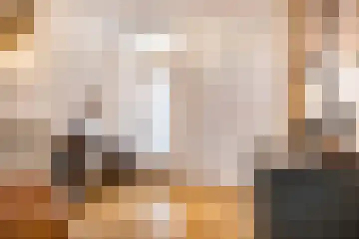 De Hazelaar 5 Zevenaar thumbnail 23