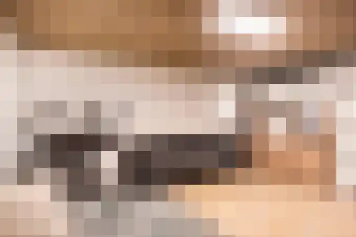 De Hazelaar 5 Zevenaar thumbnail 24