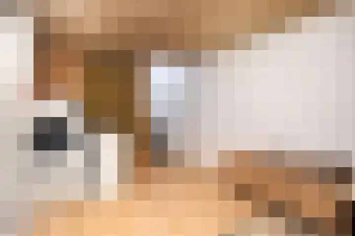 De Hazelaar 5 Zevenaar thumbnail 26