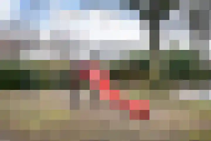 De Hazelaar 5 Zevenaar thumbnail 34