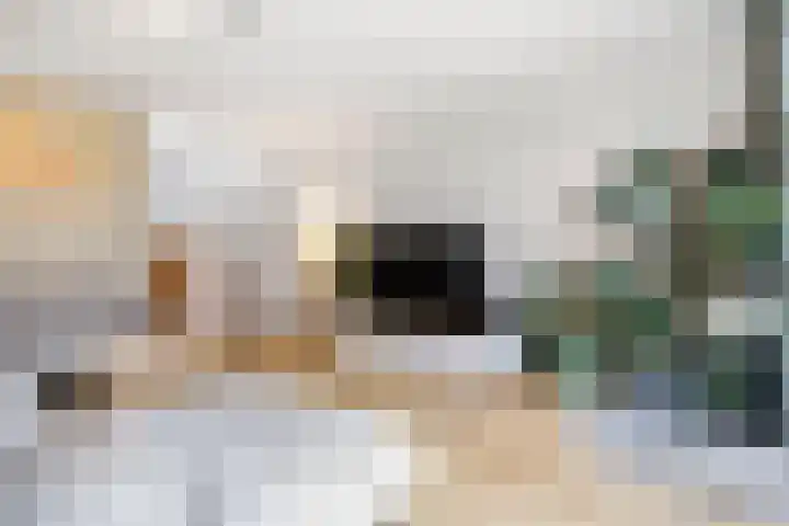 De Hazelaar 5 Zevenaar thumbnail 5