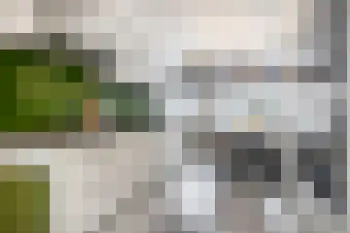 De Hazelaar 5 Zevenaar thumbnail 6