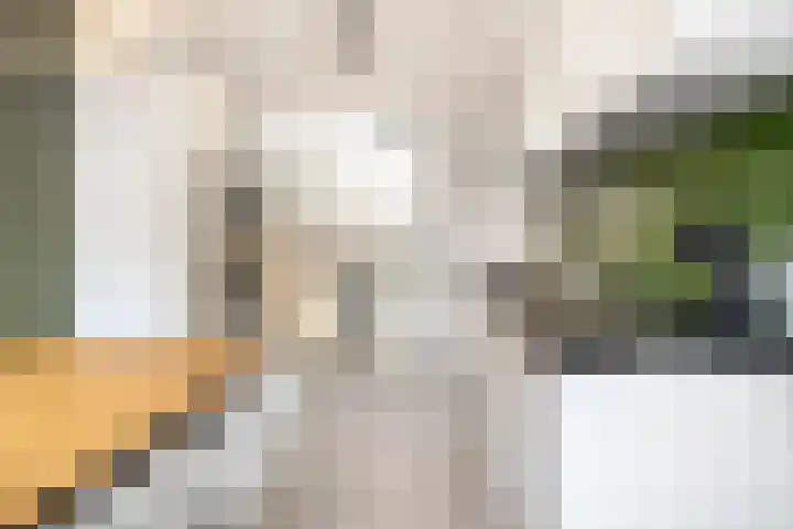 De Hazelaar 5 Zevenaar thumbnail 8