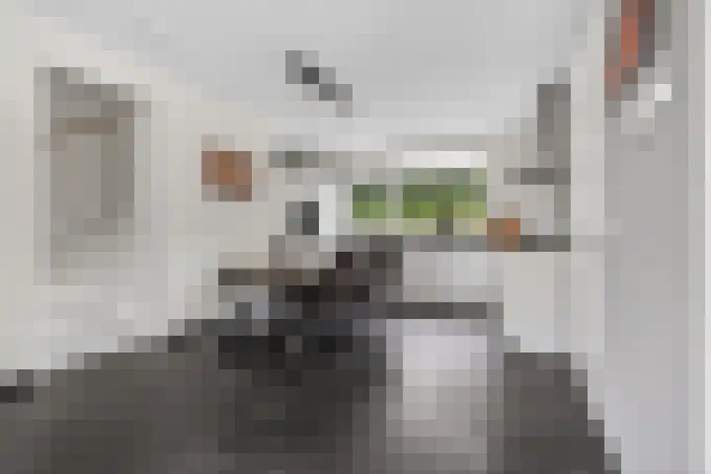 De Hazelaar 6 Valkenswaard thumbnail 10