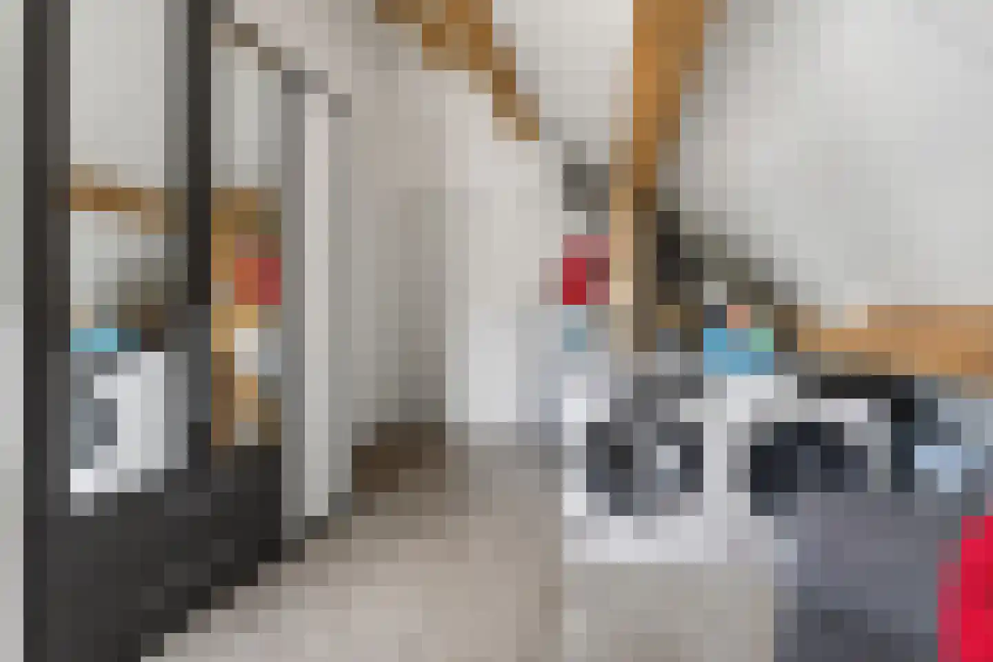 De Hazelaar 6 Valkenswaard thumbnail 30