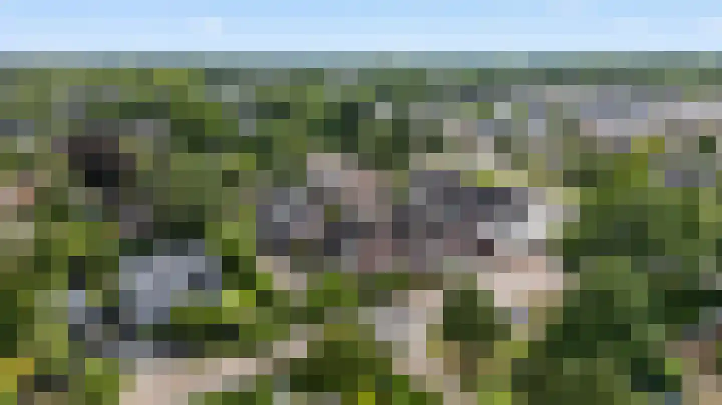 De Hazelaar 6 Valkenswaard thumbnail 38