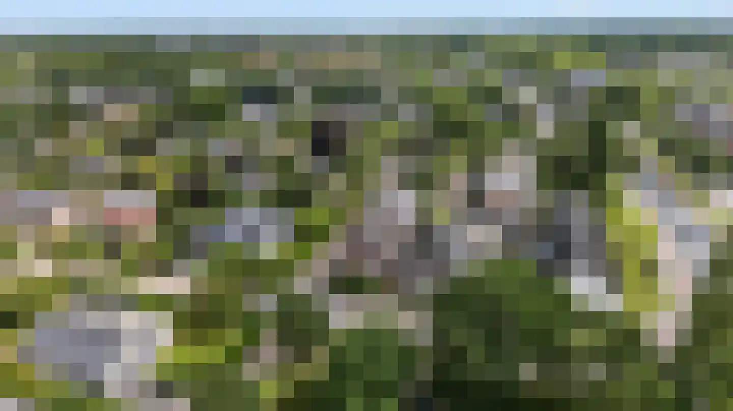 De Hazelaar 6 Valkenswaard thumbnail 39