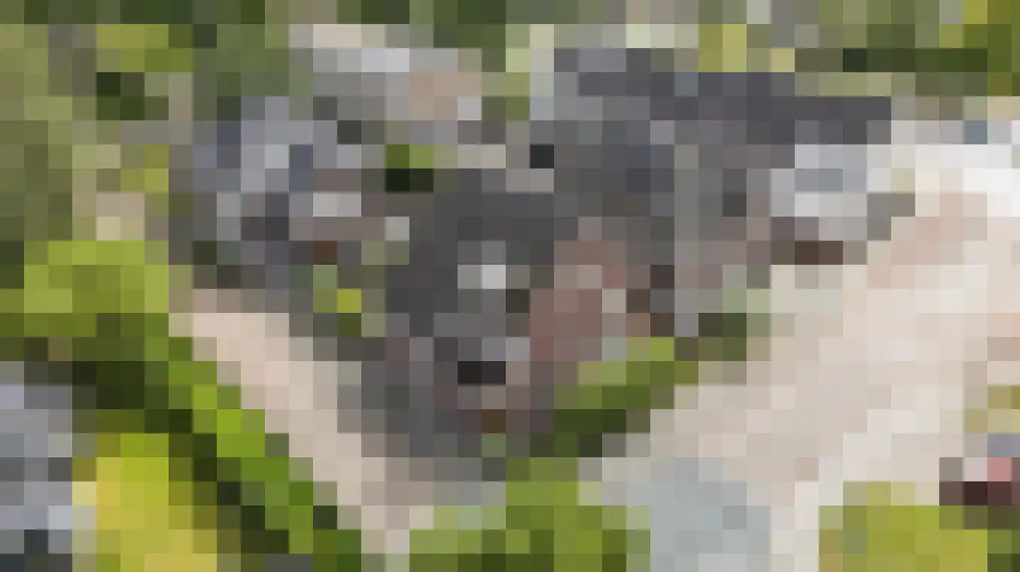 De Hazelaar 6 Valkenswaard thumbnail 40