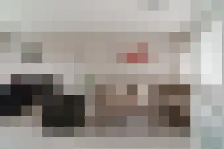 De Hazelaar 65 Zevenaar thumbnail 10