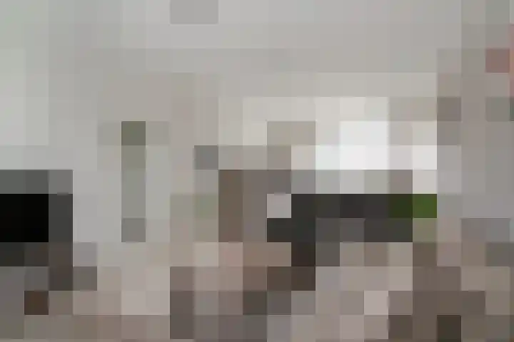De Hazelaar 65 Zevenaar thumbnail 11