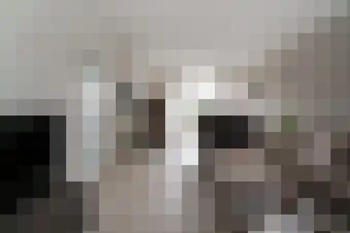 De Hazelaar 65 Zevenaar thumbnail 12