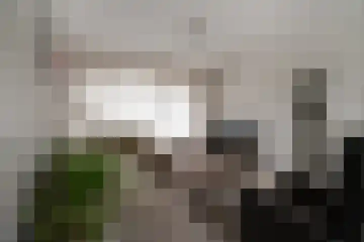 De Hazelaar 65 Zevenaar thumbnail 13