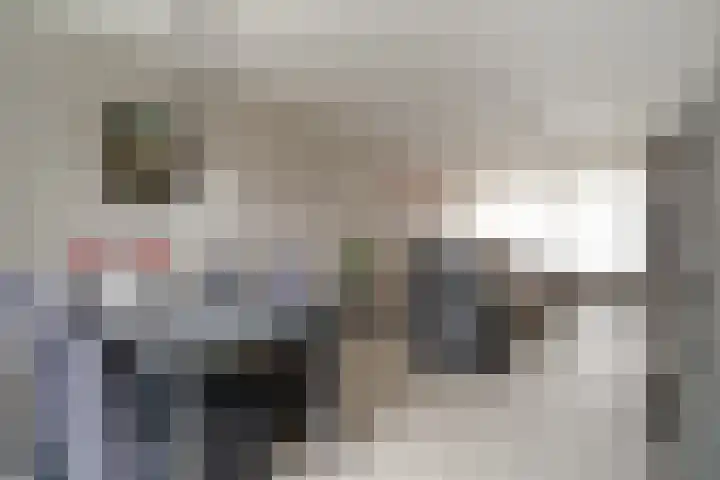 De Hazelaar 65 Zevenaar thumbnail 14