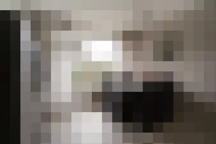 De Hazelaar 65 Zevenaar thumbnail 15