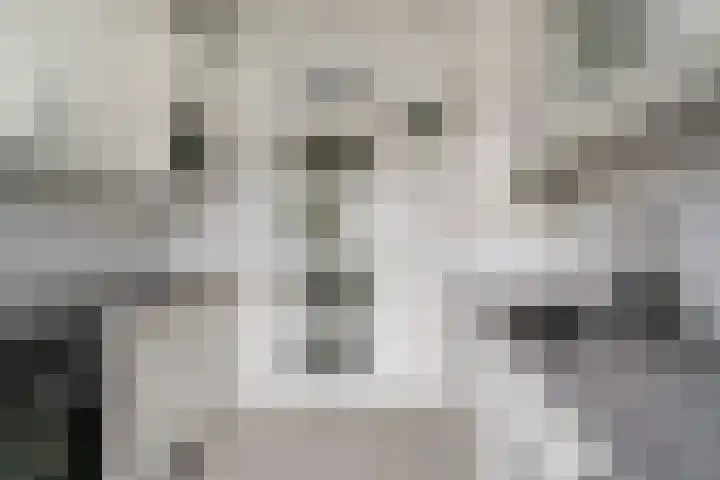 De Hazelaar 65 Zevenaar thumbnail 17