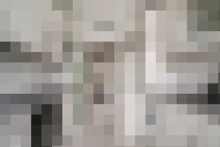 De Hazelaar 65 Zevenaar thumbnail 18