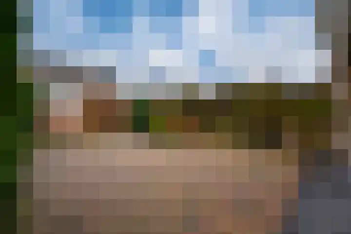 De Hazelaar 65 Zevenaar thumbnail 19