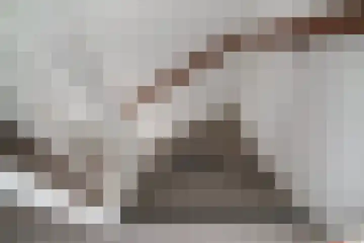 De Hazelaar 65 Zevenaar thumbnail 23