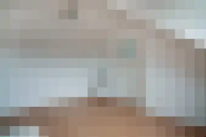 De Hazelaar 65 Zevenaar thumbnail 37