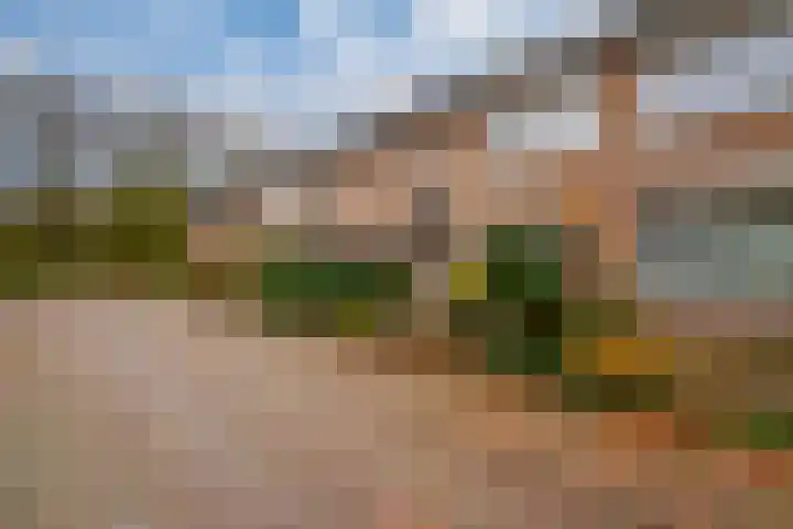 De Hazelaar 65 Zevenaar thumbnail 38
