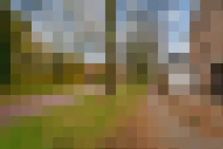 De Hazelaar 65 Zevenaar thumbnail 39