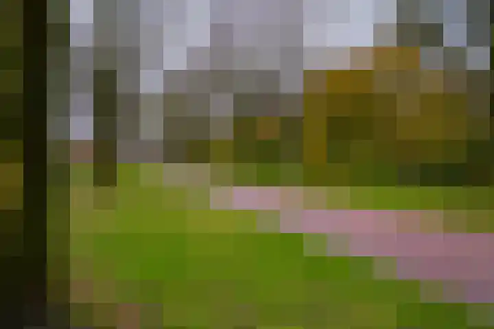 De Hazelaar 65 Zevenaar thumbnail 40