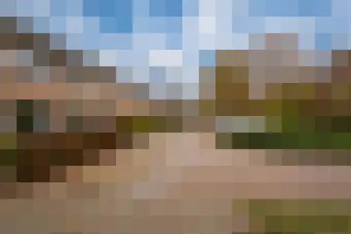 De Hazelaar 65 Zevenaar thumbnail 5